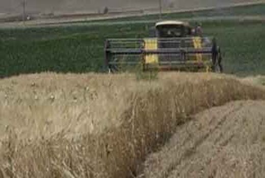 آغاز برداشت جو از زمین‌های روستای چاهملک