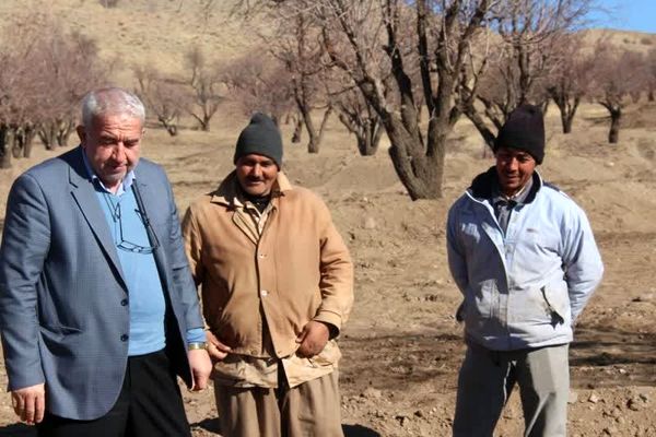 بازدید رئیس سازمان جهادکشاورزی از طرح ایجاد سامانه آبگیر در بادامستان‌های دیم کوهسرخ