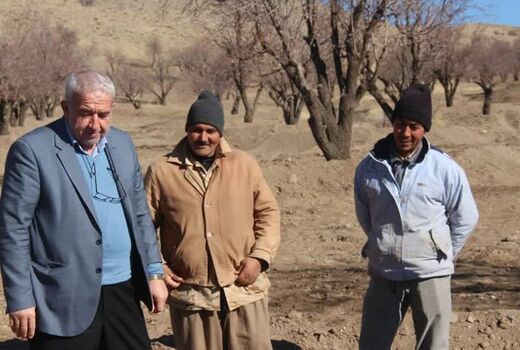 بازدید رئیس سازمان جهادکشاورزی از طرح ایجاد سامانه آبگیر در بادامستان‌های دیم کوهسرخ