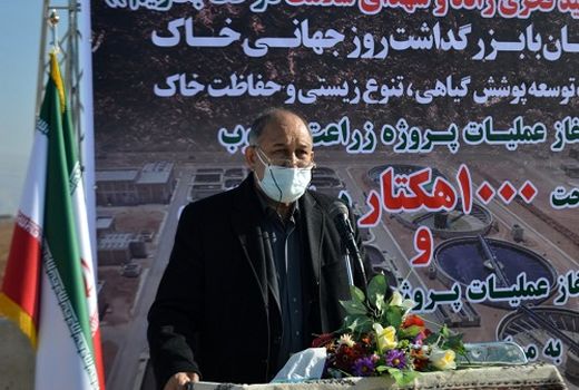 زراعت چوب نقش بی بدیلی در اقتصاد مقاومتی دارد