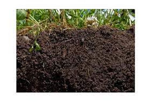 حاصلخیزی خاک  از طریق افزایش ماده آلی