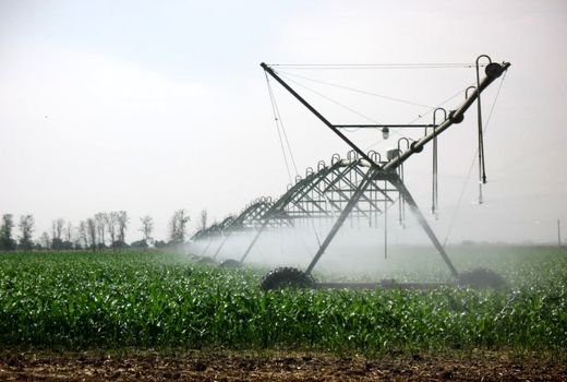 اجرای ۴۰۵ هکتار سامانه نوین آبیاری در مزارع کشاورزی استان قزوین