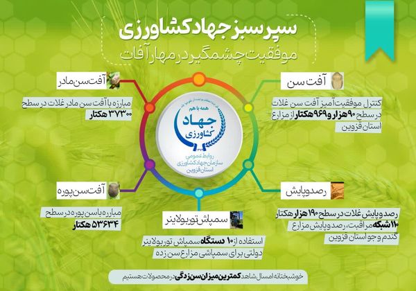 اینفوگرافی | کنترل موفقیتآمیز آفت سن غلات در سطح ۹۰هزار و ۹۶۳ هکتار از مزارع استان قزوین