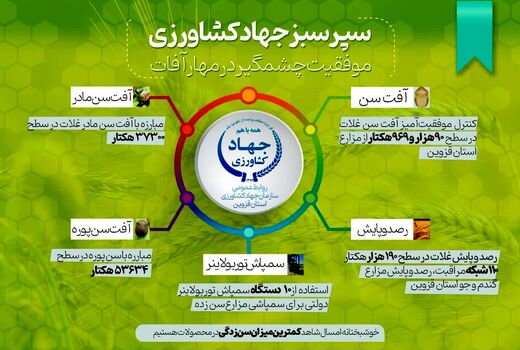  اینفوگرافی | کنترل موفقیت‌آمیز آفت سن غلات در سطح ۹۰هزار و ۹۶۳ هکتار از مزارع استان قزوین