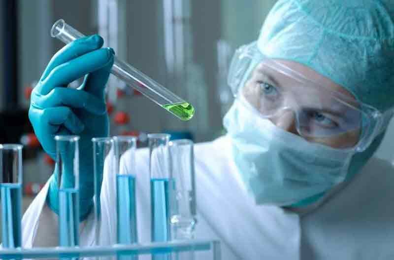 تیغ دودم تشکیل شرکت‌های دانش‌بنیان کشاورزی/ فعالیت 350 شرکت دانش‌بنیان کشاورزی