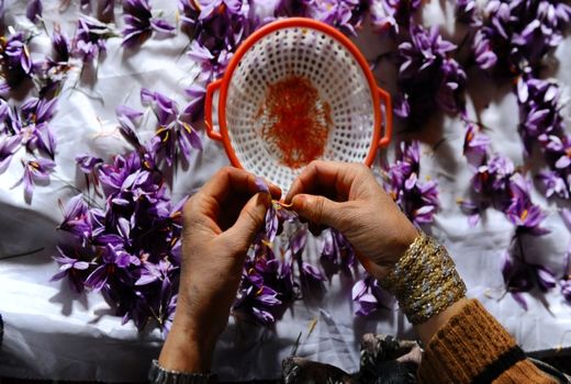 سامانـدهی بازار زعفران با استفاده از ظرفیت تشکل‌ها