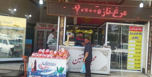 توزیع و عرضه ۲۶۰ تن مرغ کشتار روز در سطح بازار آذربایجان غربی 
