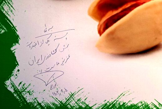 پسته یکی از اعتبارات بخش کشاورزی ایران عزیز ماست