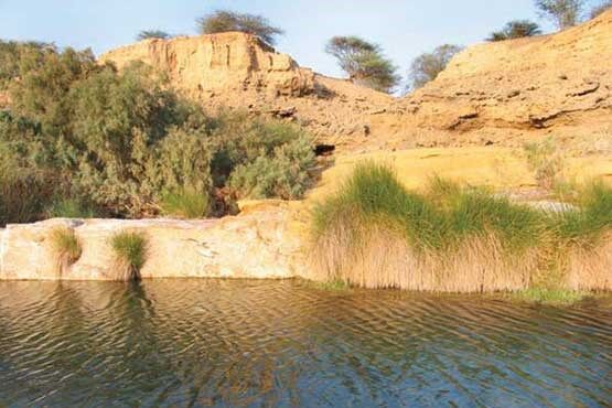 اینجا غدیر خم است/ عکس و نقشه
