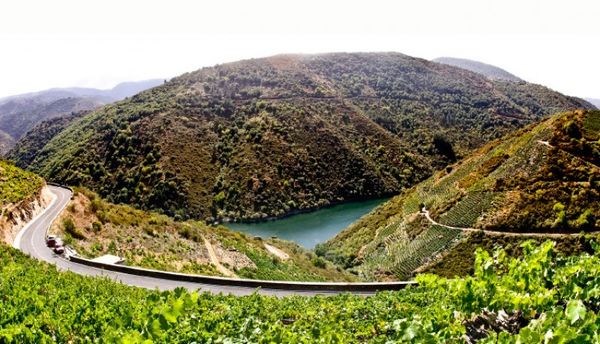 بهبود عملکرد تاکستان‌های "گالیسیا" با هواپیماهای بدون سرنشین
