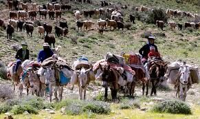 کارگروه اجرایی توسعه و بهبود فضاهای آموزشی عشایری آذربایجان غربی  تشکیل شد