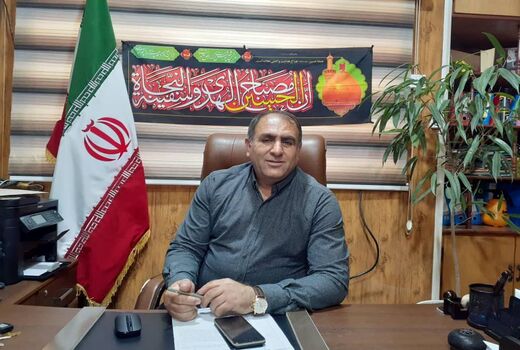 کشاورزان دهلرانی از طرح زراعت چوب کسب درآمد کردند