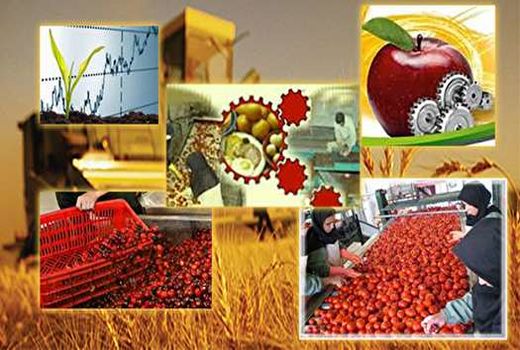 ۸۰ هزار تن به ظرفیت فرآوری محصولات کشاورزی خراسان شمالی افزوده می‌شود