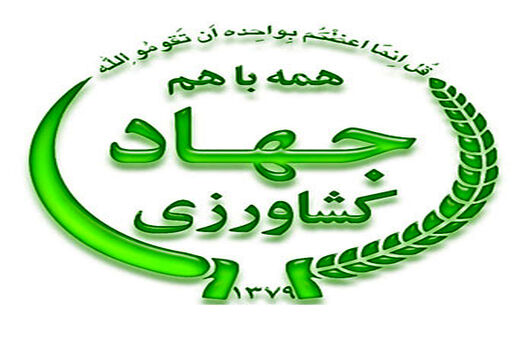برگزاری کارگاه آموزشی تولید محصول گواهی شده در شهرستان کنگان
