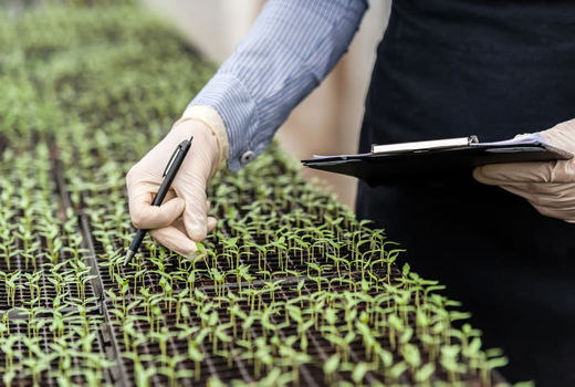 بیوتکنولوژی در خدمت  کشاورزی