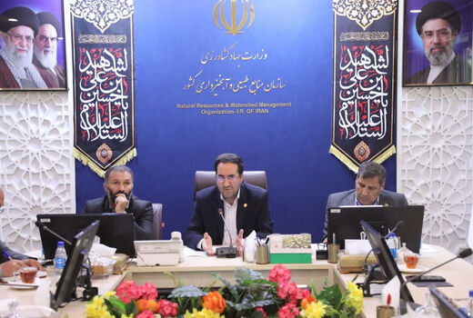 ضرورت استفاده هدفمند از ظرفیت سازمان نظام مهندسی در اجرای طرح‌های منابع طبیعی