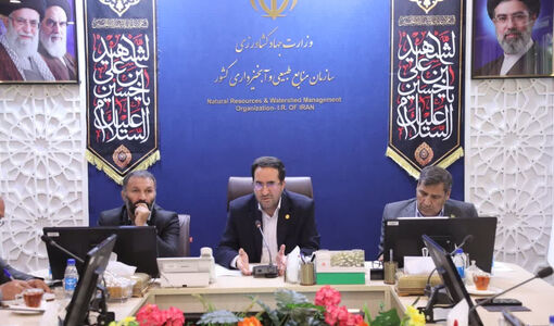 ضرورت استفاده هدفمند از ظرفیت سازمان نظام مهندسی در اجرای طرح‌های منابع طبیعی