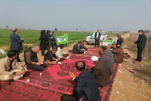 مدیریت شوری خاک در مزارع باوی خوزستان 