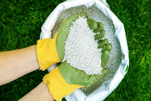 ۱۳۰۰ تن کود کشاورزی اوره در انبارهای بوشهر ذخیره شد