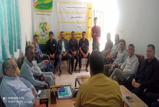 تاکید بر اهمیت کشت کلزا در تناوب زراعی