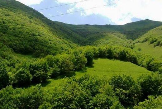 «آموزش، ترویج و مشارکت مردم» سپر اجتماعی یگان حفاظت در برابر سوداگران منابع طبیعی
