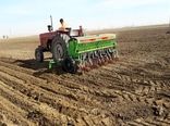 ۹۳ هزار هکتار از اراضی دیواندره زیر کشت گندم می‌رود