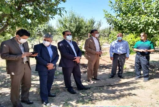 رئیس سازمان جهاد کشاورزی لرستان از وضعیت تغییر کاربری اراضی کشاورزی و باغی حوزه شهرستان خرم آباد بازدید کرد