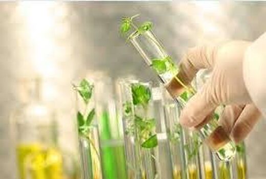 ضرورت پیش‌آگاهی برای جلوگیری از خسارات در بخش کشاورزی
