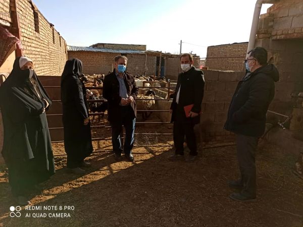 اجرای طرح یاوران تولید راهگشای حل مشکلات بخش کشاورزی است