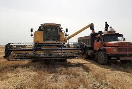پرداخت کلیه مطالبات گندم کاران خوزستان تا آخر هفته
