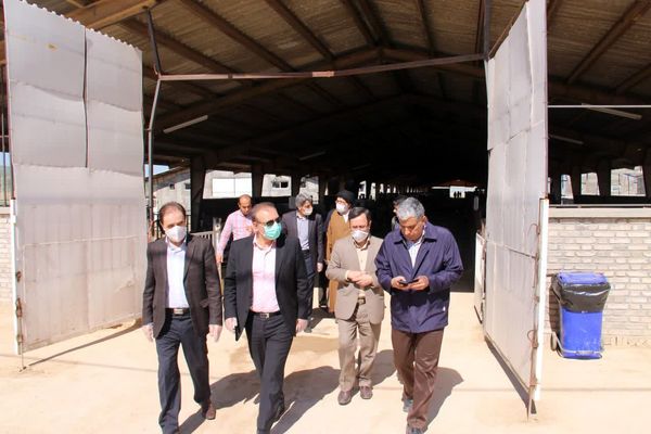  کشت و صنعت فجر صفا ظرفیتی بی‌نظیر برای تولید، اشتغال و تحقق شعار جهش تولید  در لرستان