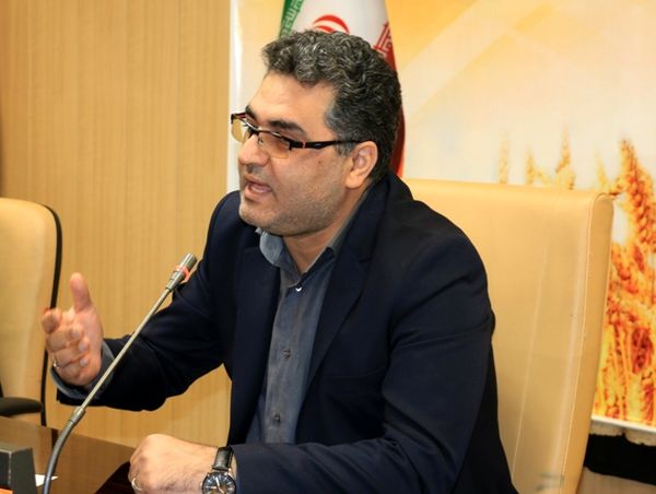 ۲ برابر شدن قیمت خرید تضمینی گندم حرکتی استراتژیک است