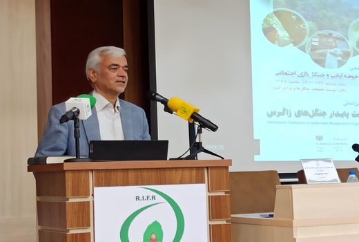 جلوی چرای مفرط در زاگرس را بگیرید/ لزوم اقدامات واقع‌بینانه 