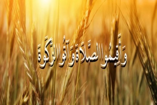  پرداخت ۱۲ میلیارد تومان زکات در خراسان شمالی