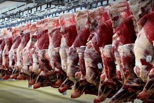 شهرستان ورامین ۳۵ درصد گوشت قرمز استان تهران را تامین می کند