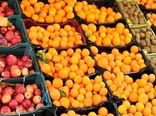 پیش‌بینی توزیع ۴۵۰۰ تن سیب و پرتقال دولتی در اصفهان