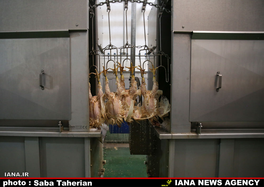 وزیر در اصفهان