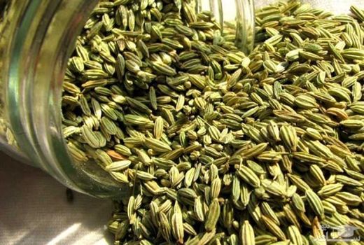 برداشت ۶۸۳ تن زیره سبز در خراسان جنوبی