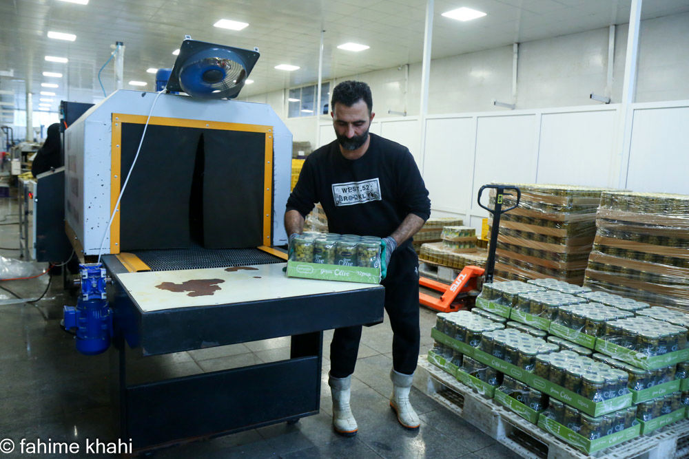 از لمس شاخه تا عصاره ی نور  