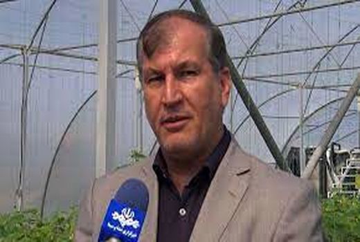 یک میلیون هکتار از باغ‌های کشور نیازمند اصلاح و جایگزینی