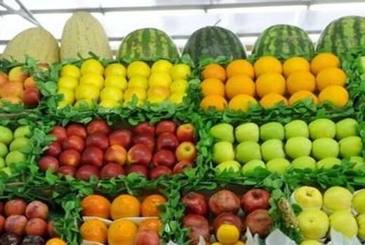 ۸۱۷ تن میوه شب عید در استان سمنان توزیع می‌شود