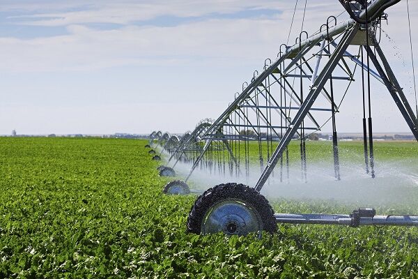  اجرای سامانه های نوین آبیاری در 7048 هکتار از اراضی استان