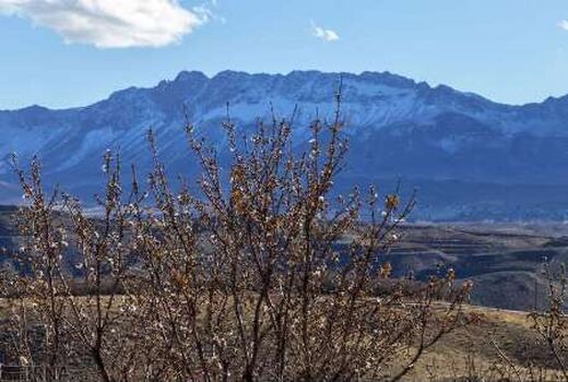 سرمازدگی ۱۴ میلیارد ریال به باغات شهرستان اردل خسارت زد