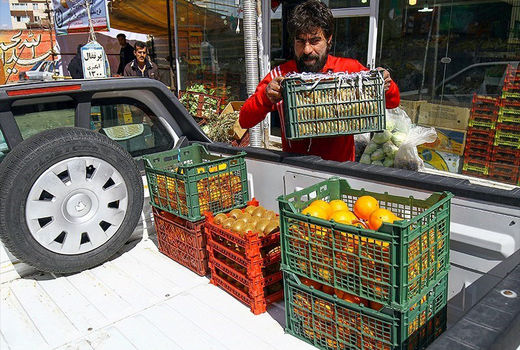 توزیع 1500 تن میوه تنظیم بازار در همدان