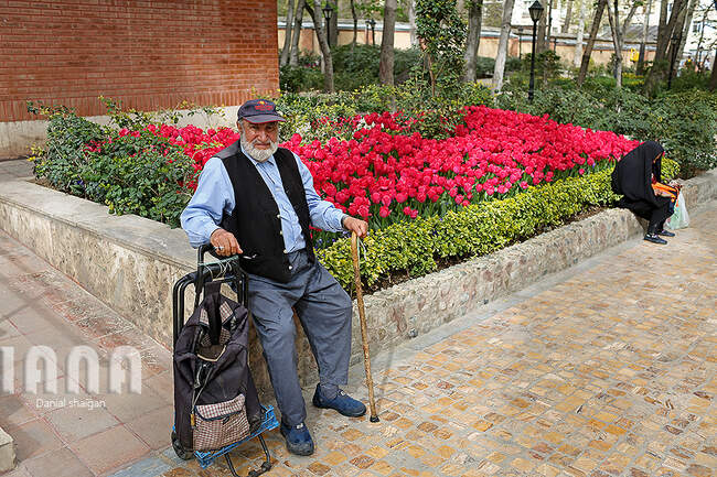 گردشگران در باغ گل ایرانی