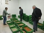 ایران رتبه یک تا سه فرسایش خاک را دارد/ ایستگاه خواجه مرجع ملی تحقیقات مارن
