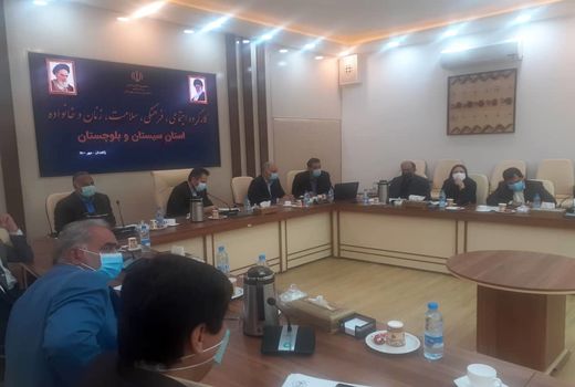 ستاد کنترل و پیشگیری از آنفلوانزای فوق حاد طیور در سیستان و بلوچستان تشکیل شد