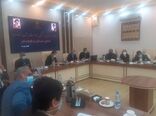 ستاد کنترل و پیشگیری از آنفلوانزای فوق حاد طیور در سیستان و بلوچستان تشکیل شد