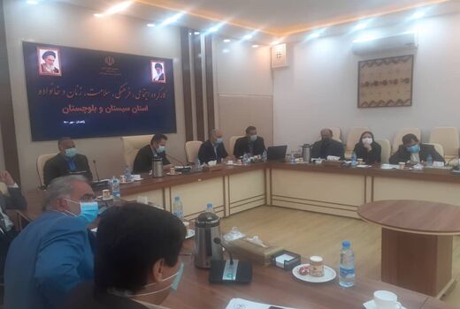 ستاد کنترل و پیشگیری از آنفلوانزای فوق حاد طیور در سیستان و بلوچستان تشکیل شد