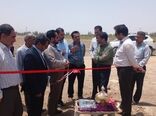 آبیاری کم فشار 28 هکتاری قائم آباد ارزوئیه به مناسبت هفته جهاد کشاورزی به بهره برداری رسید